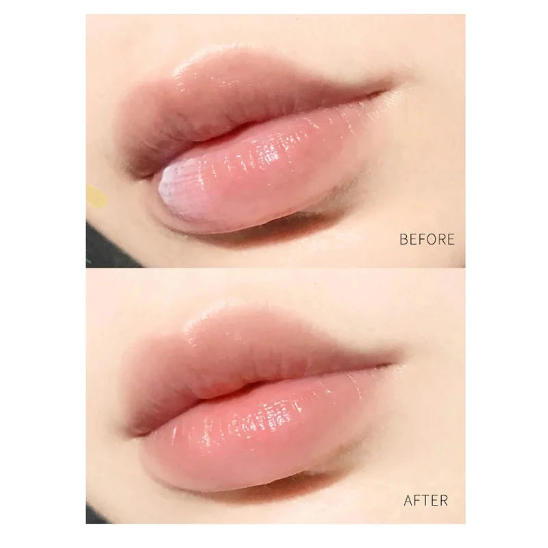 New 4/6/8pcs Moisturizing Lip Balm Sets Lipstick Makeup Natural Plant Base Moisturizer Lip Balm Anti-cracking Lips Skin Care