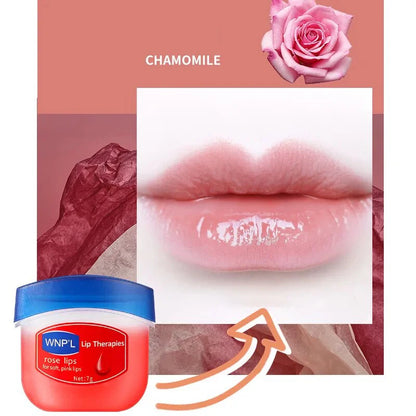 New 4/6/8pcs Moisturizing Lip Balm Sets Lipstick Makeup Natural Plant Base Moisturizer Lip Balm Anti-cracking Lips Skin Care