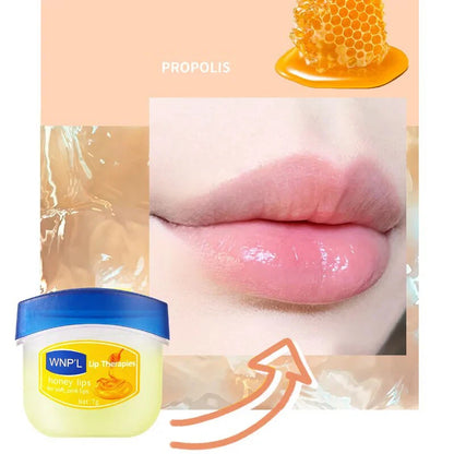 New 4/6/8pcs Moisturizing Lip Balm Sets Lipstick Makeup Natural Plant Base Moisturizer Lip Balm Anti-cracking Lips Skin Care