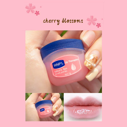 New 4/6/8pcs Moisturizing Lip Balm Sets Lipstick Makeup Natural Plant Base Moisturizer Lip Balm Anti-cracking Lips Skin Care