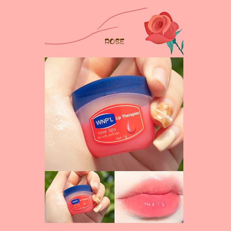 New 4/6/8pcs Moisturizing Lip Balm Sets Lipstick Makeup Natural Plant Base Moisturizer Lip Balm Anti-cracking Lips Skin Care